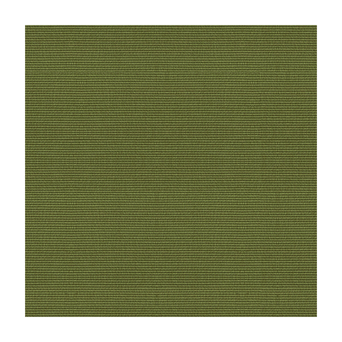 Bosporus Ottoman Texture fabric in moss color - pattern BR-83806.406.0 - by Brunschwig &amp; Fils