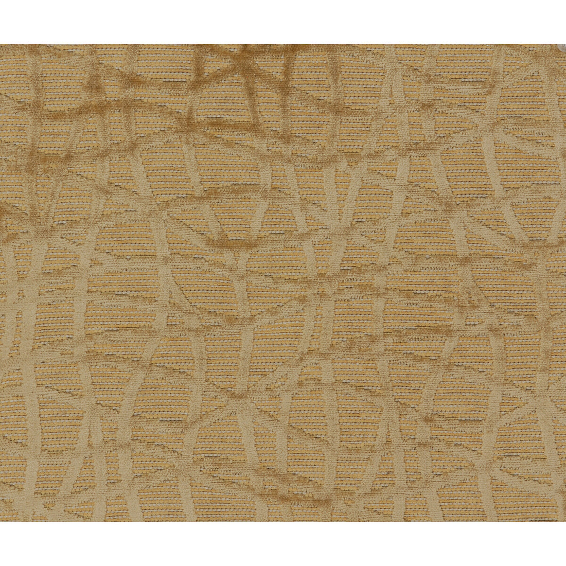 Ashanti Woven fabric in raffia color - pattern BR-89556.025.0 - by Brunschwig &amp; Fils