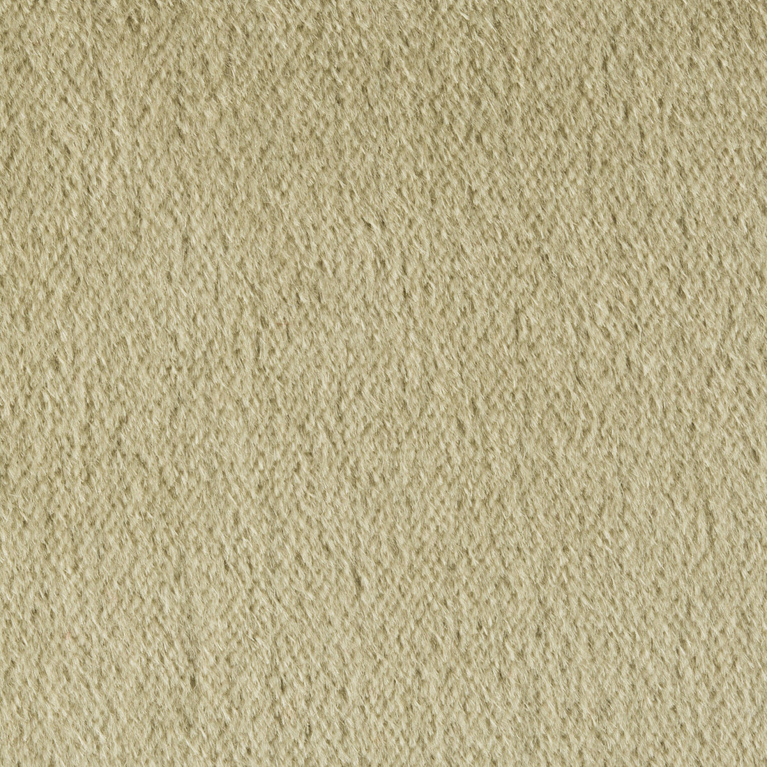 Autun Mohair Velvet fabric in eucalyptus color - pattern BR-89778.311.0 - by Brunschwig &amp; Fils