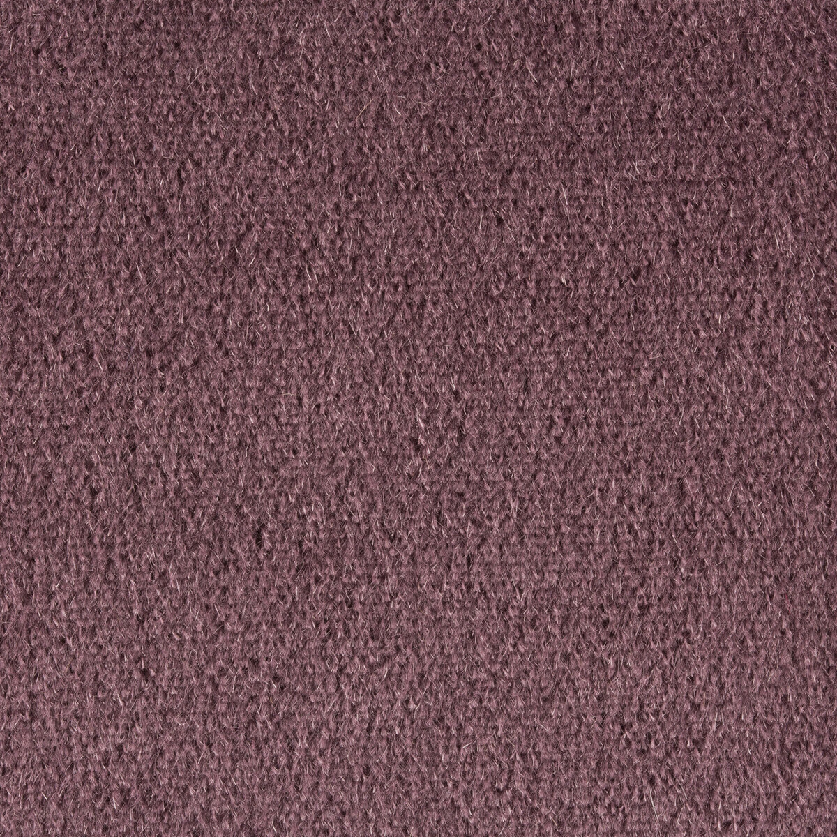 Autun Mohair Velvet fabric in prune color - pattern BR-89778.768.0 - by Brunschwig &amp; Fils