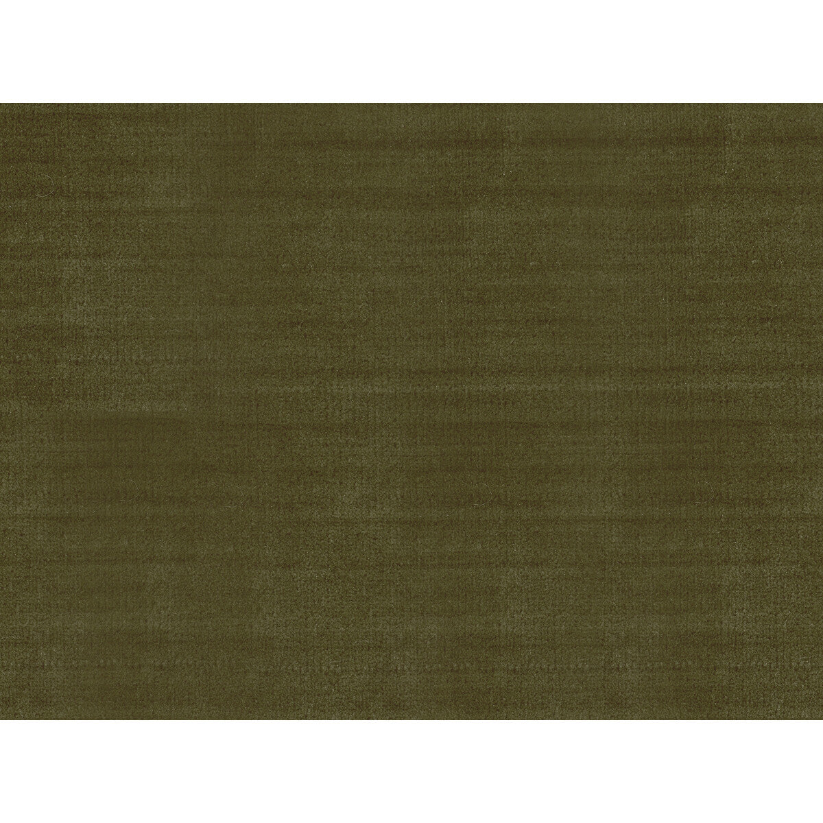 St fabric in florent silk velvet evergreen color - pattern BR-89780.481.0 - by Brunschwig &amp; Fils