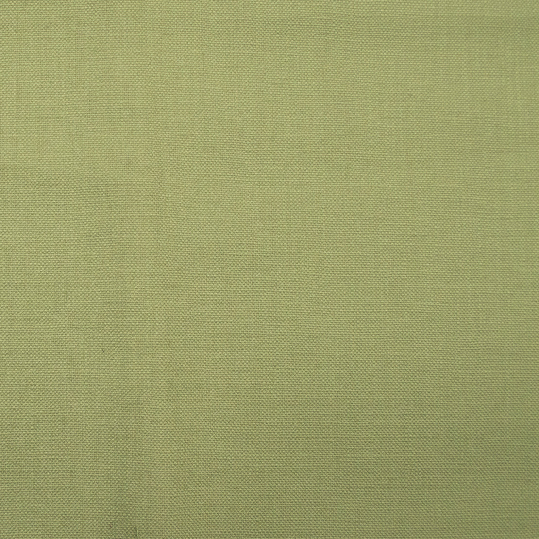Barry fabric in green tea color - pattern number 01142 - by Europatex in the Barry collection