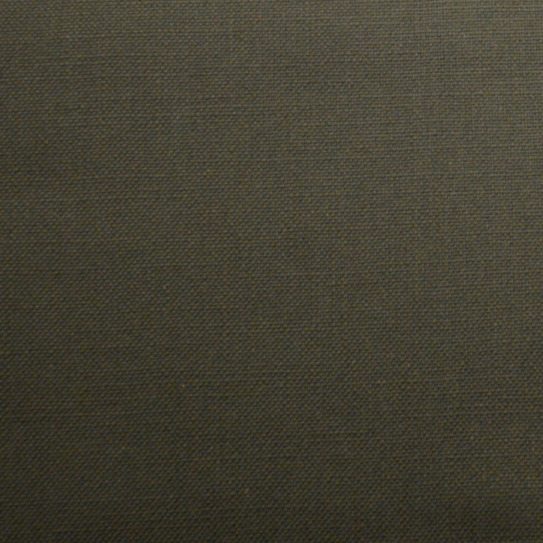 Barry fabric in chia color - pattern number 08331 - by Europatex in the Barry collection