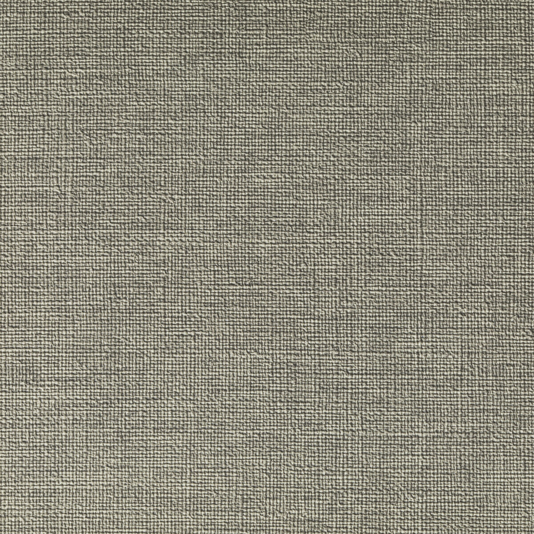 Caslin fabric in hemp color - pattern CASLIN.16.0 - by Kravet Contract in the Foundations / Value collection