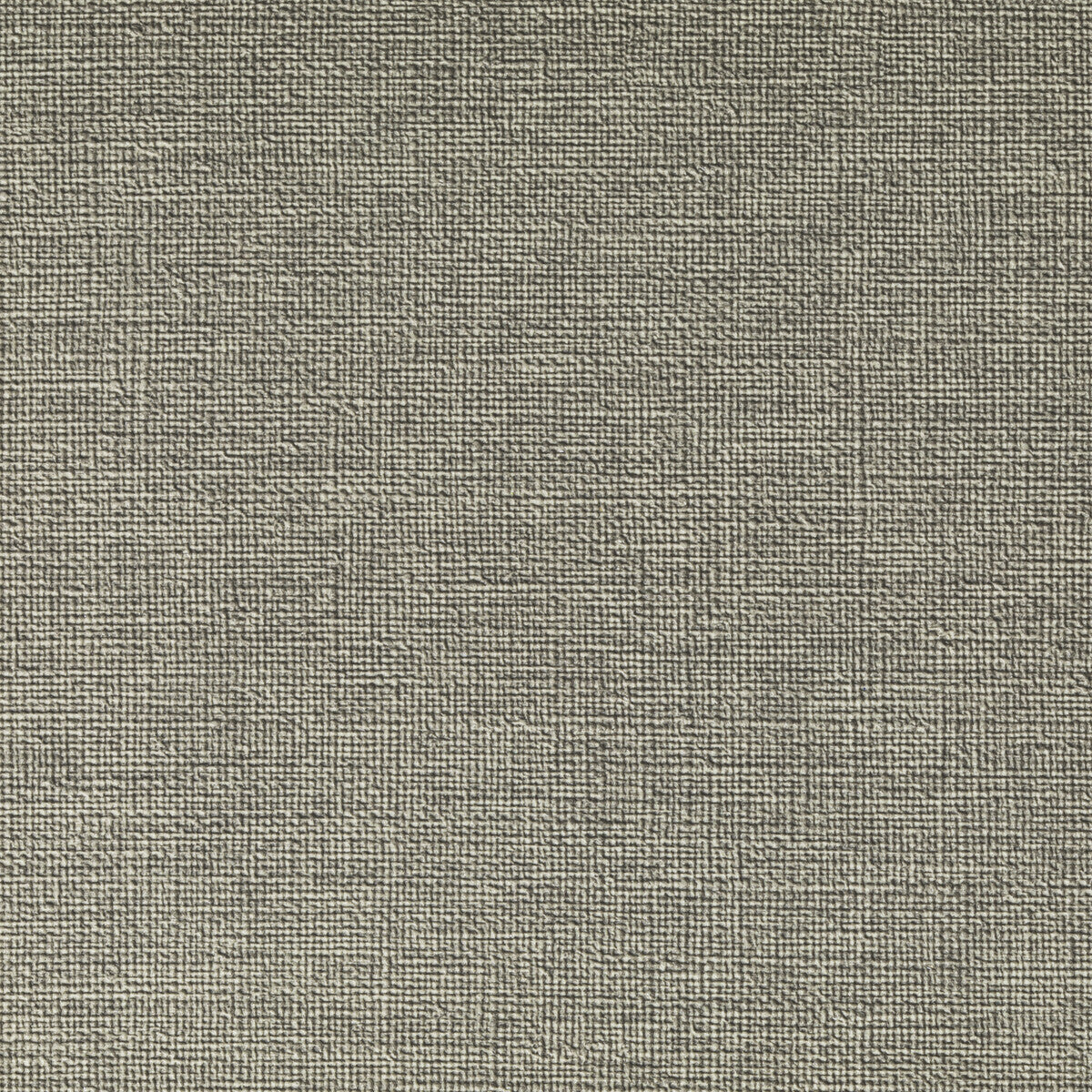 Caslin fabric in hemp color - pattern CASLIN.16.0 - by Kravet Contract in the Foundations / Value collection