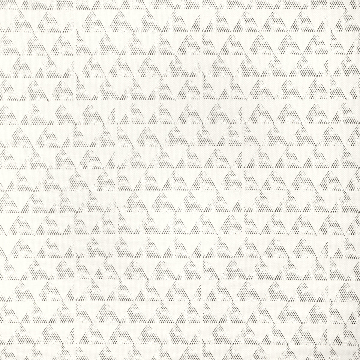 Shale fabric in black oyster color - pattern number CCF-2340.816.0 - by Caroline Cecil Textiles in the Origins collection