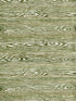 Muir Woods fabric in moss color - pattern number CD 0001OB41 - by Scalamandre in the Old World Weavers collection