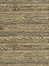 Muir Woods fabric in ash color - pattern number CD 0004OB41 - by Scalamandre in the Old World Weavers collection