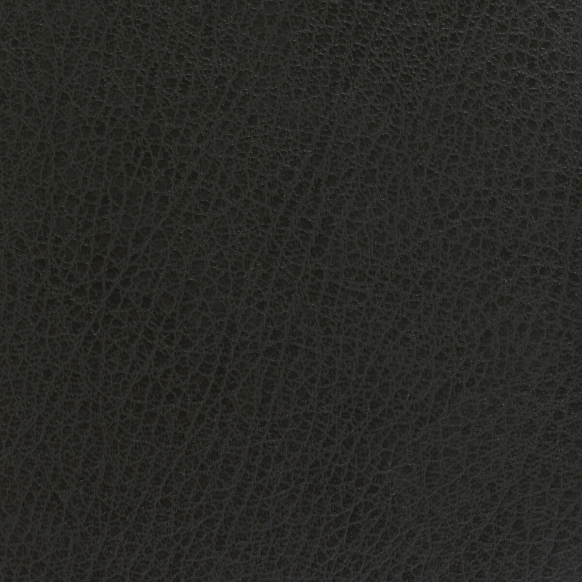 Kravet Basics fabric in celine-21 color - pattern CELINE.21.0 - by Kravet Basics