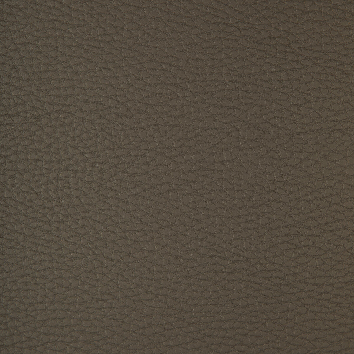 Connect fabric in connect-21 color - pattern number CONNECT.21.0 - by Kravet Design in the Faux Leather IV collection