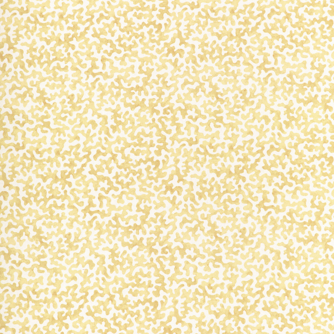 Coralcoast fabric in cornsilk color - pattern CORALCOAST.14.0 - by Kravet Basics in the Small Scale Prints collection