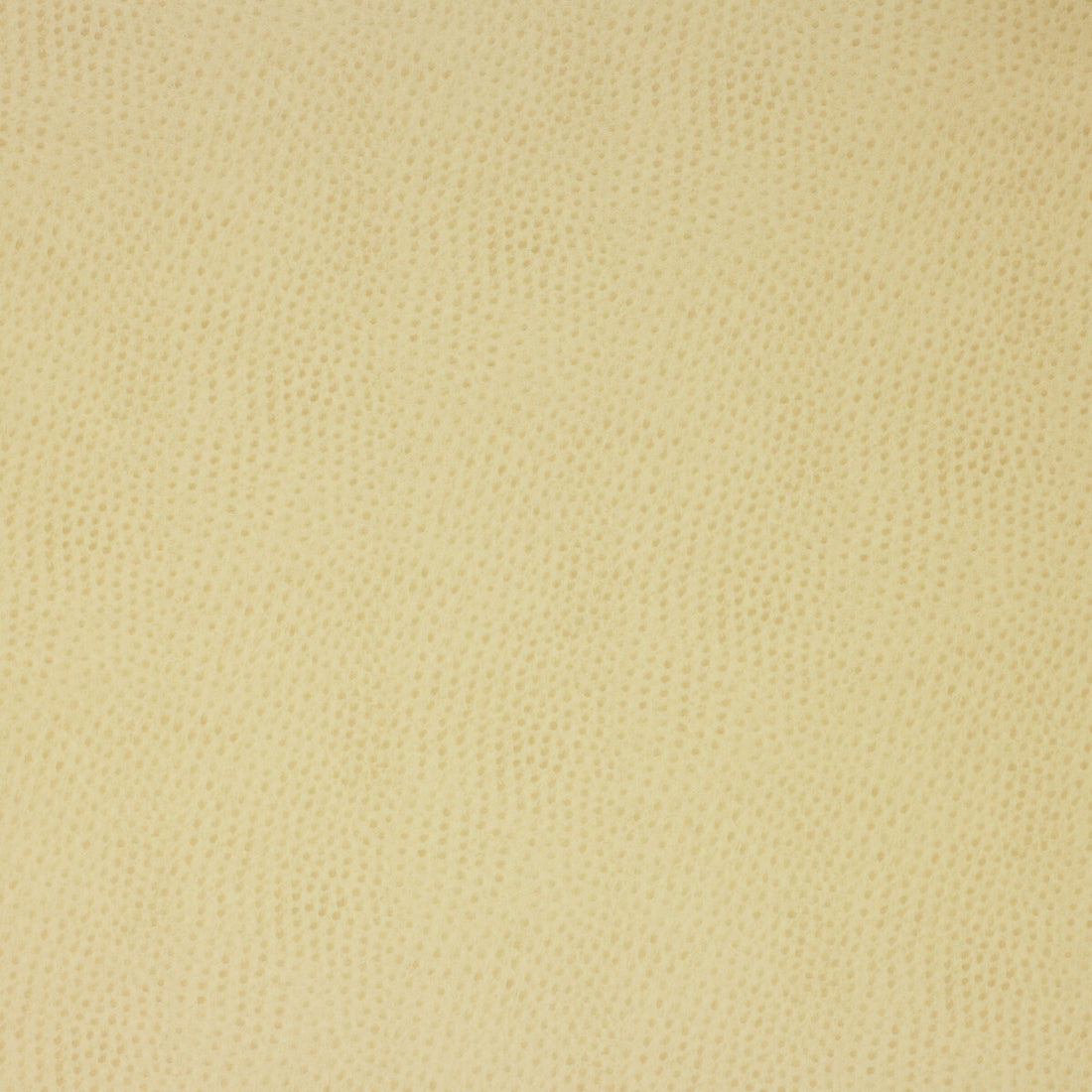Kravet Design fabric in delaney-116 color - pattern DELANEY.116.0 - by Kravet Design