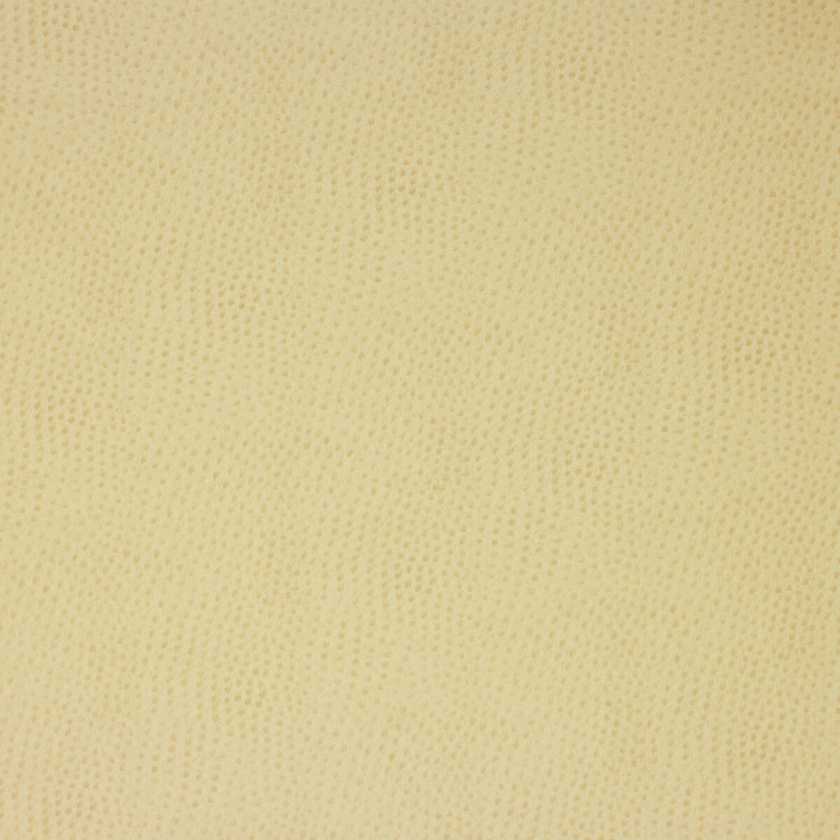 Kravet Design fabric in delaney-116 color - pattern DELANEY.116.0 - by Kravet Design