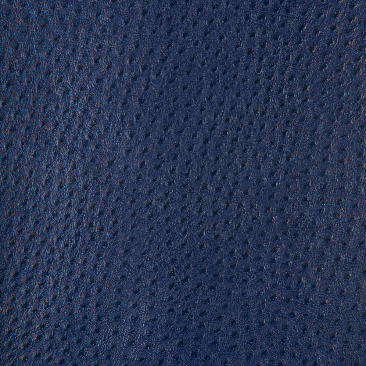 Delaney fabric in delaney-50 color - pattern number DELANEY.50.0 - by Kravet Design in the Faux Leather IV collection