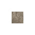 Albero Bello fabric in lichen color - pattern number DG-10146.009.0 - by Donghia in the  collection