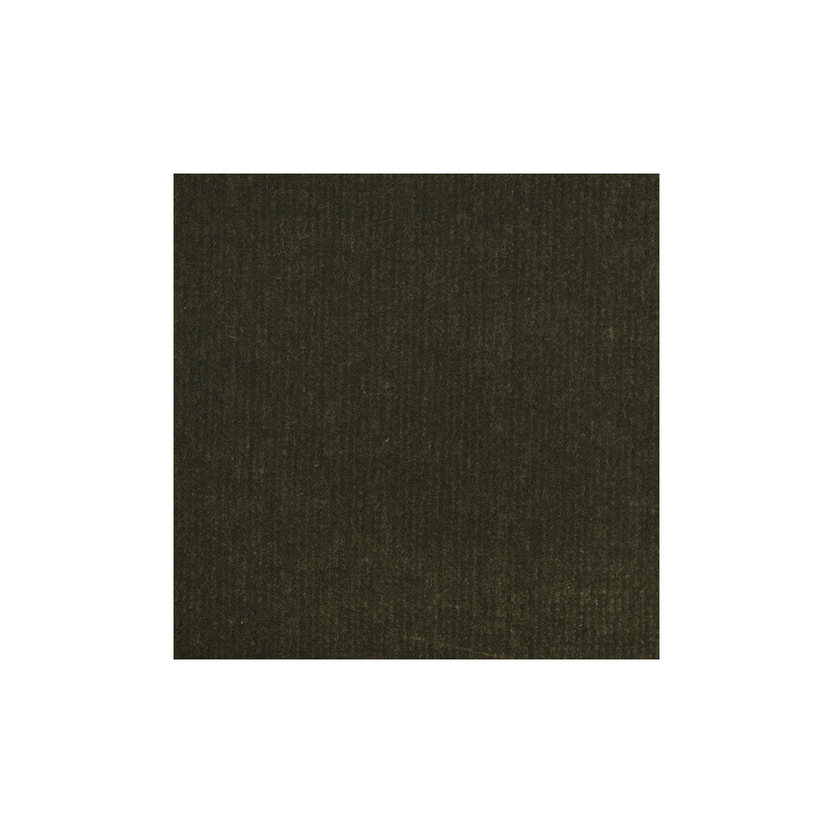 Covet fabric in moss color - pattern number DG-10158.024.0 - by Donghia in the Ombre I collection