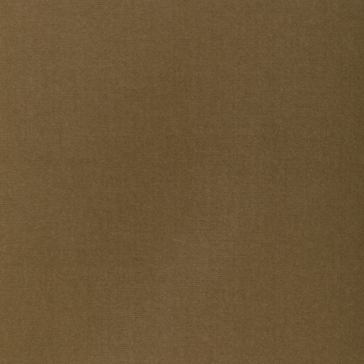 Covet fabric in hazelnut color - pattern number DG-10158.106.0 - by Donghia in the Ombre I collection