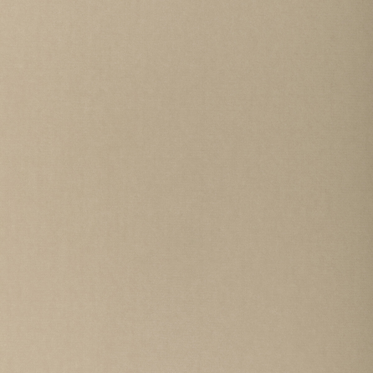 Covet fabric in parchment color - pattern number DG-10158.1116.0 - by Donghia in the Ombre I collection