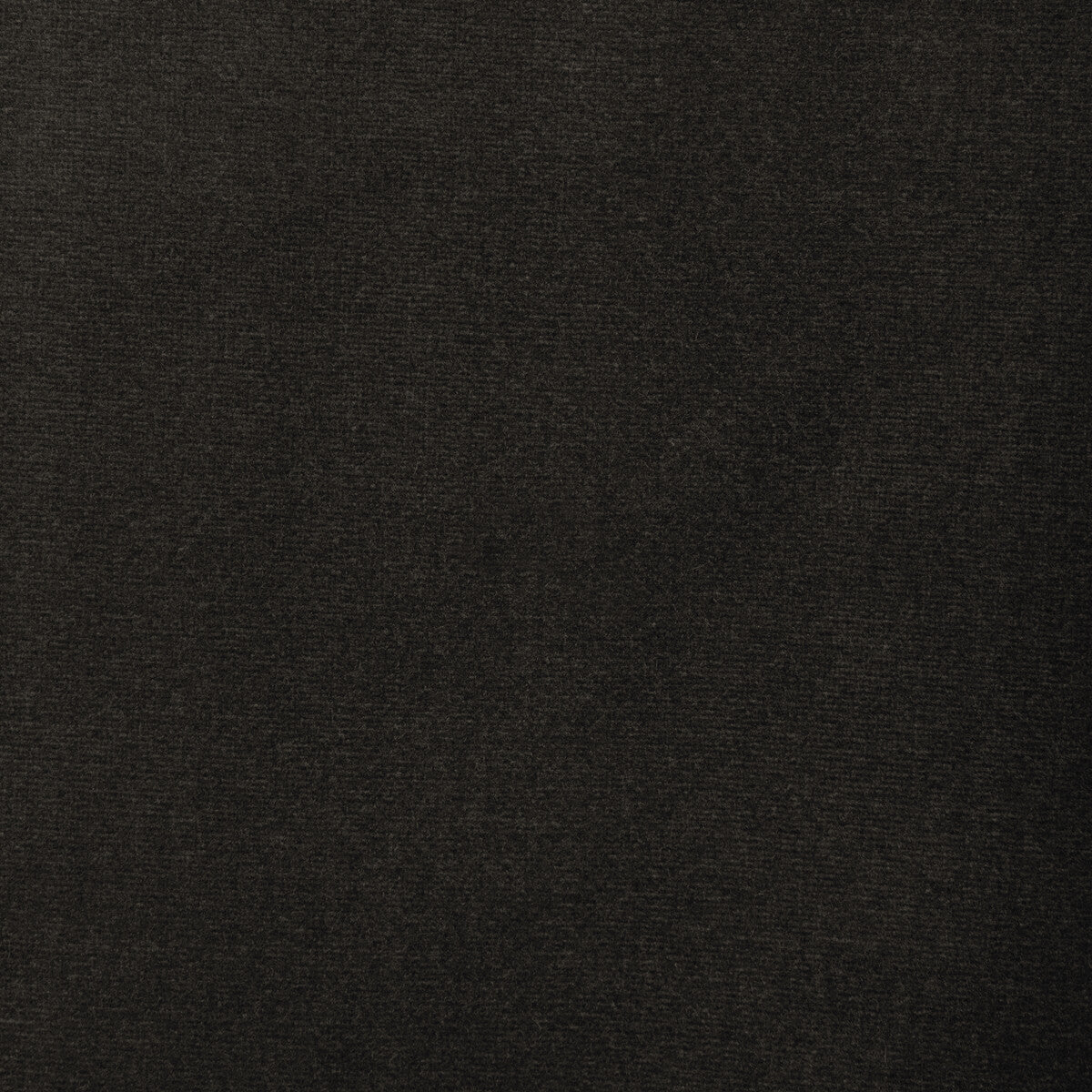 Covet fabric in sable color - pattern number DG-10158.1121.0 - by Donghia in the Ombre I collection