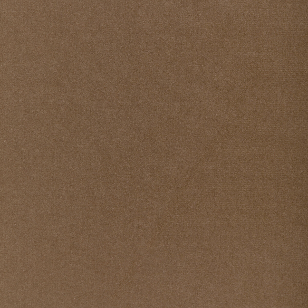 Covet fabric in biscuit color - pattern number DG-10158.116.0 - by Donghia in the Ombre I collection