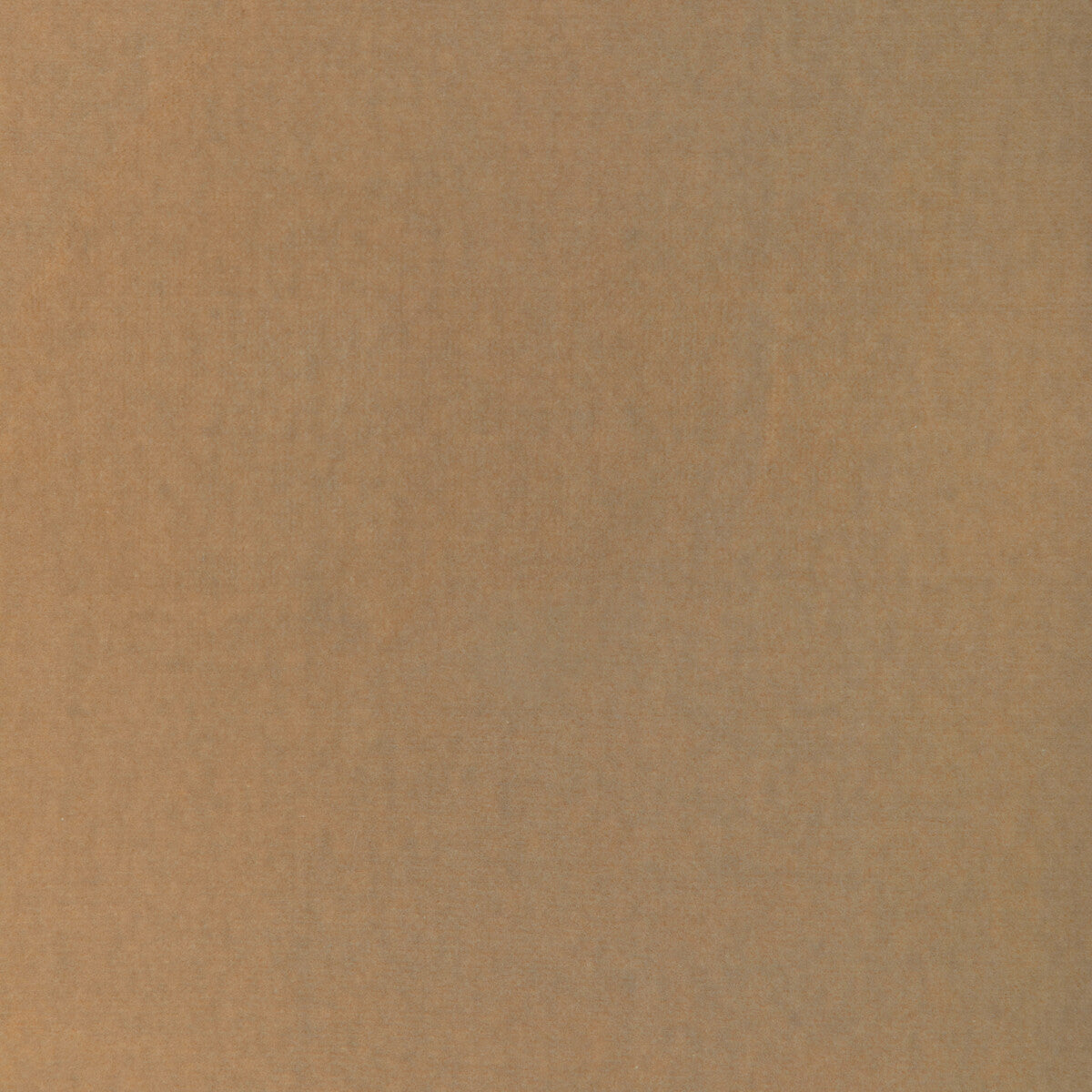 Covet fabric in wheat color - pattern number DG-10158.16.0 - by Donghia in the Ombre I collection