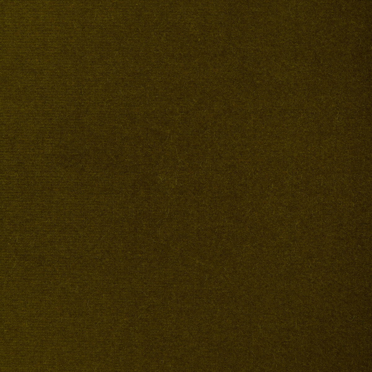 Covet fabric in olive color - pattern number DG-10158.23.0 - by Donghia in the Ombre I collection