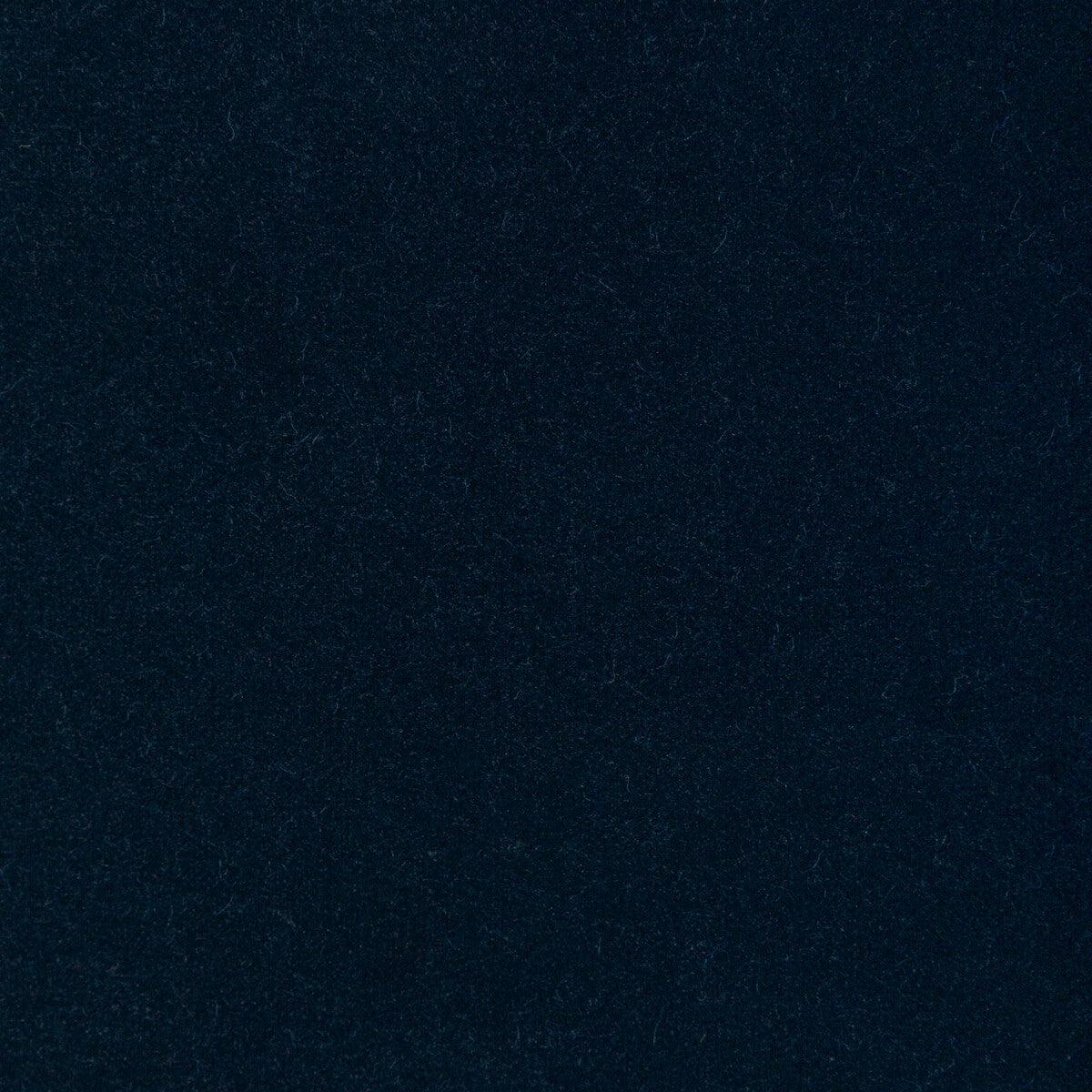 Covet fabric in ink color - pattern number DG-10158.50.0 - by Donghia in the Ombre I collection
