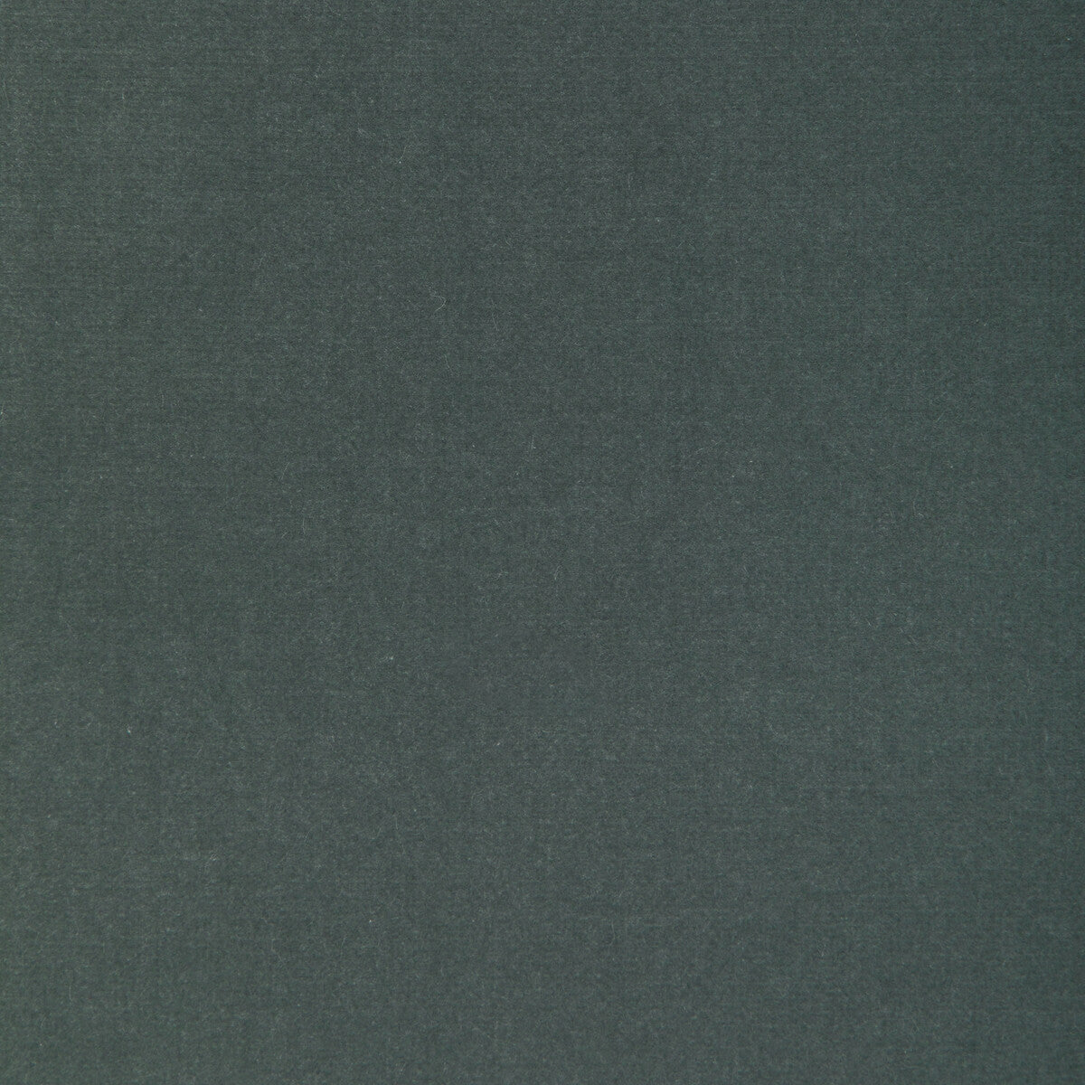 Covet fabric in shadow color - pattern number DG-10158.52.0 - by Donghia in the Ombre I collection