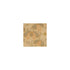 Encanto fabric in gold color - pattern number DG-10173.003.0 - by Donghia in the  collection