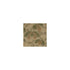 Encanto fabric in moss color - pattern number DG-10173.004.0 - by Donghia in the  collection