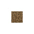 Montauk fabric in ash color - pattern number DG-10211.019.0 - by Donghia in the Domestic Bliss collection