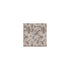 Honolulu fabric in sandy silver color - pattern number DG-10214.009.0 - by Donghia in the Domestic Bliss collection