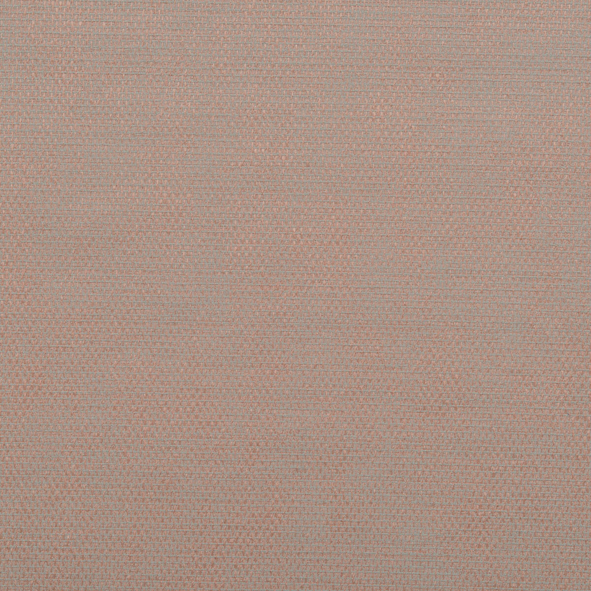 Falcon fabric in pink color - pattern number DG-10296.006.0 - by Donghia in the Desert Bloom collection