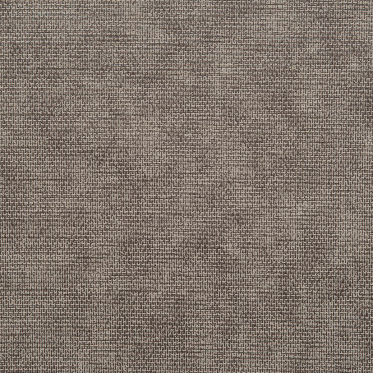 Falcon fabric in brown color - pattern number DG-10296.008.0 - by Donghia in the Desert Bloom collection