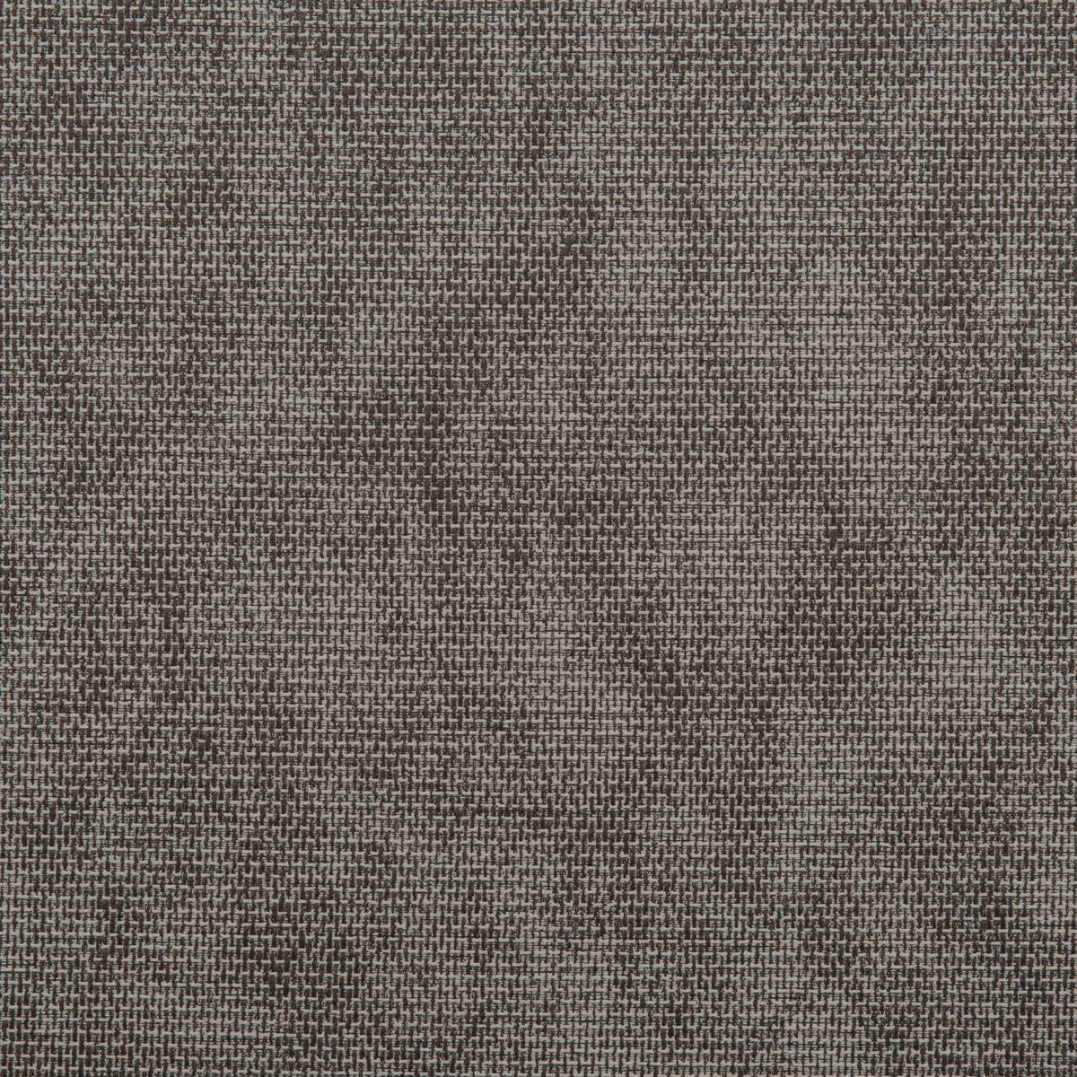 Falcon fabric in espresso color - pattern number DG-10296.018.0 - by Donghia in the Desert Bloom collection