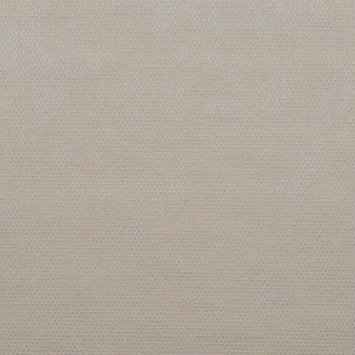 Falcon fabric in cream color - pattern number DG-10296.020.0 - by Donghia in the Desert Bloom collection