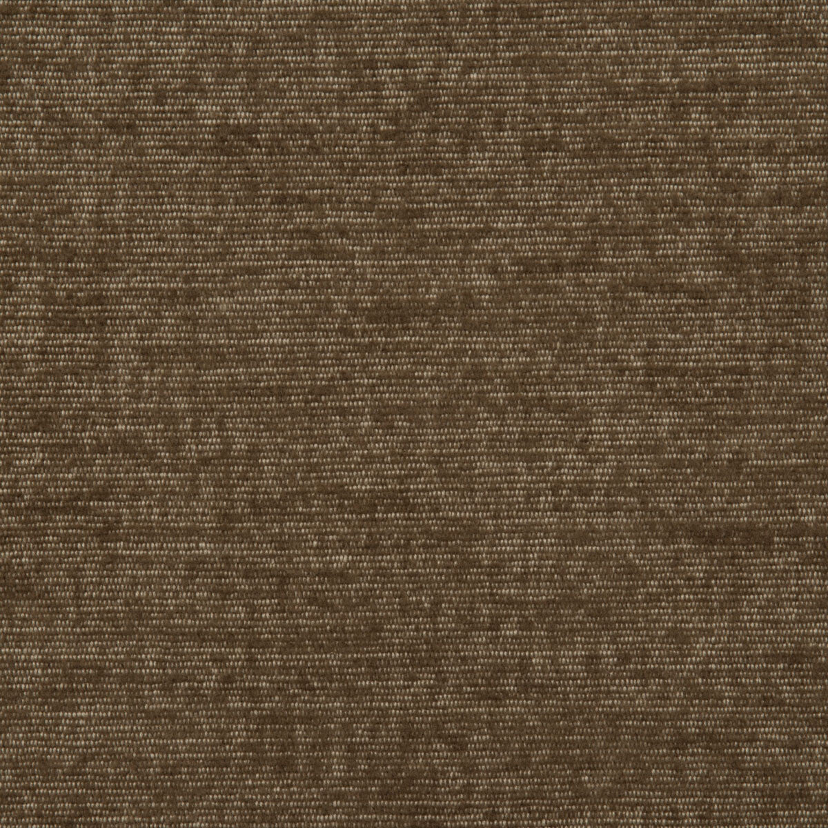 Great Basin fabric in brown color - pattern number DG-10299.018.0 - by Donghia in the Desert Bloom collection
