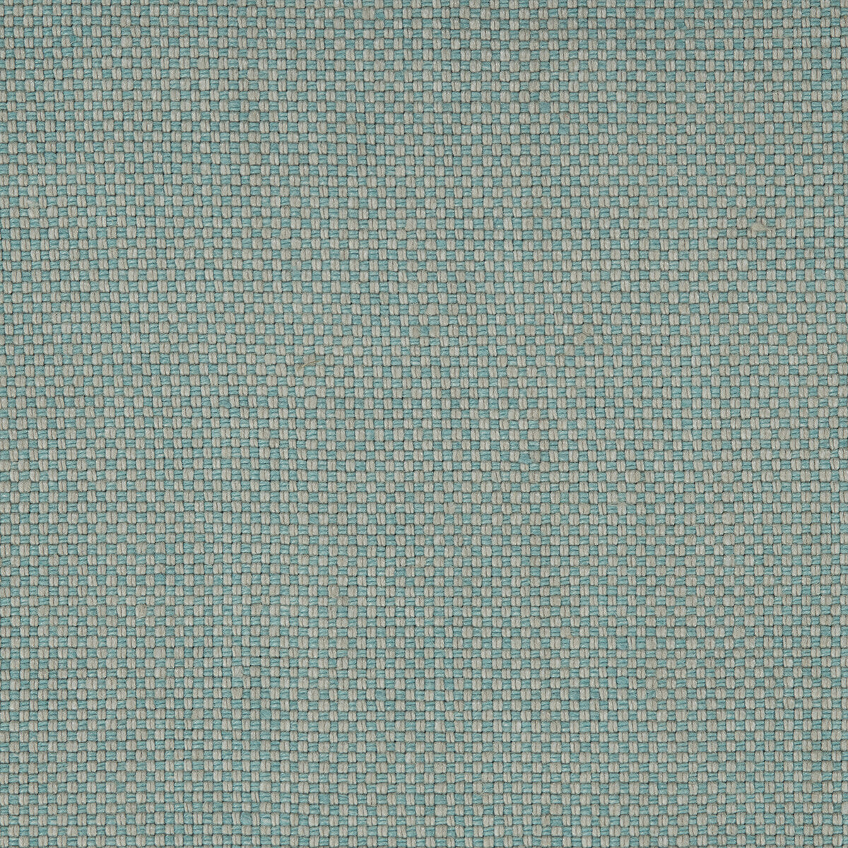 Arid fabric in sky color - pattern number DG-10307.002.0 - by Donghia in the Desert Bloom collection