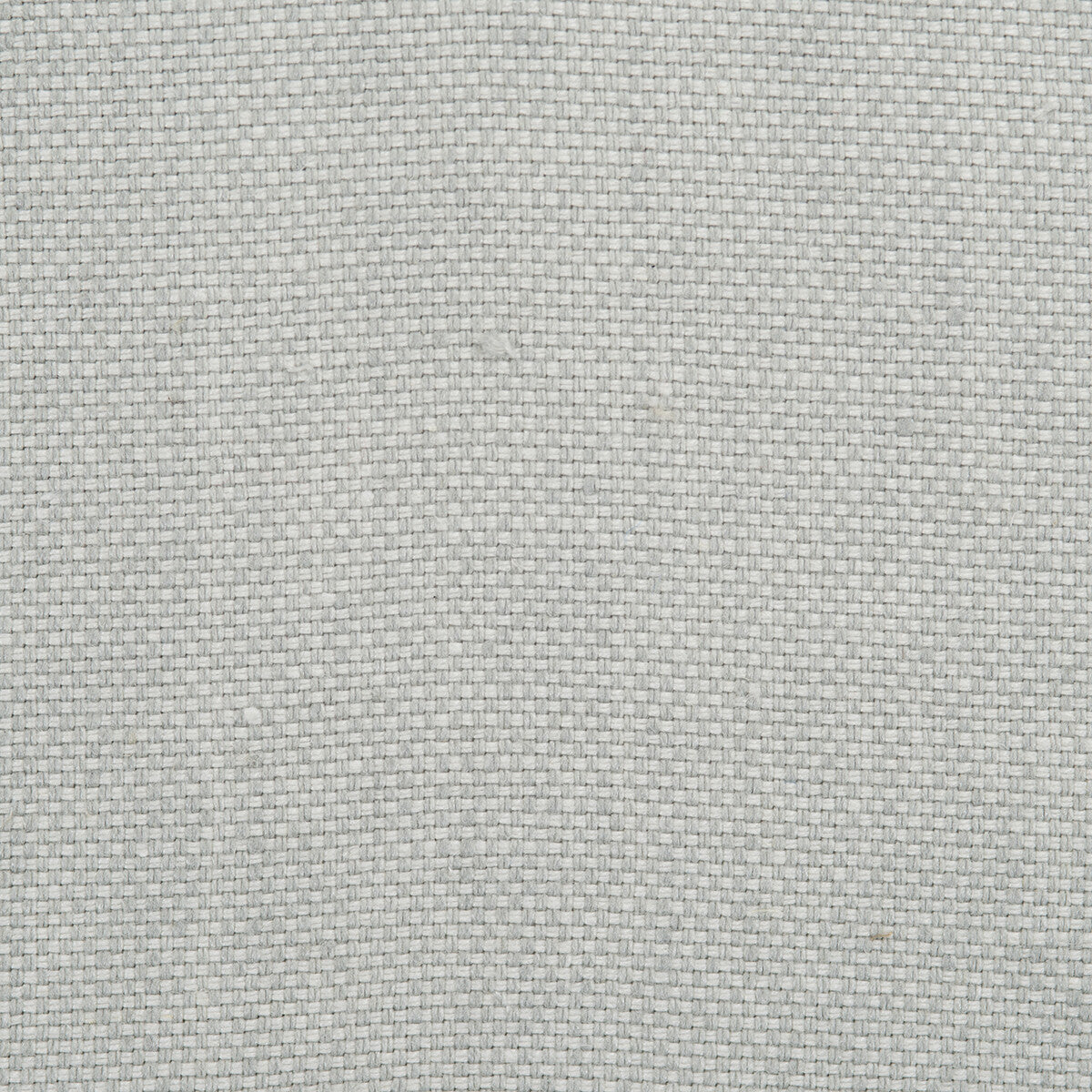 Arid fabric in grey color - pattern number DG-10307.009.0 - by Donghia in the Desert Bloom collection