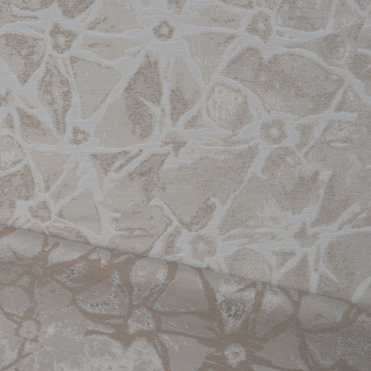 Fossil Reversible fabric in white color - pattern number DG-10308.010.0 - by Donghia in the Desert Bloom collection