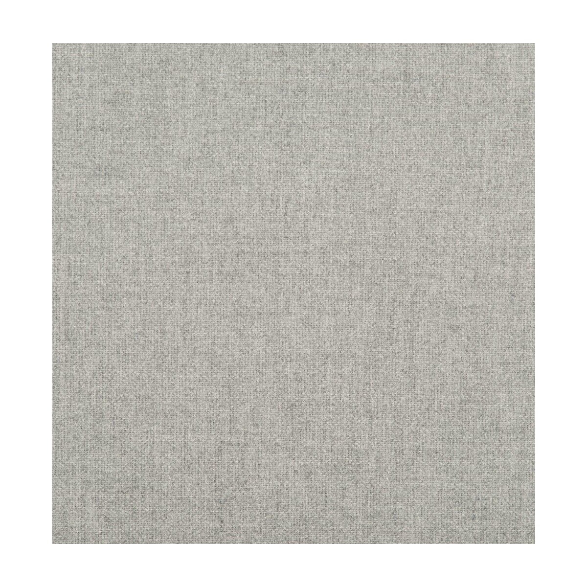 Woolish fabric in grey color - pattern number DG-10351.009.0 - by Donghia in the 3D Collection collection
