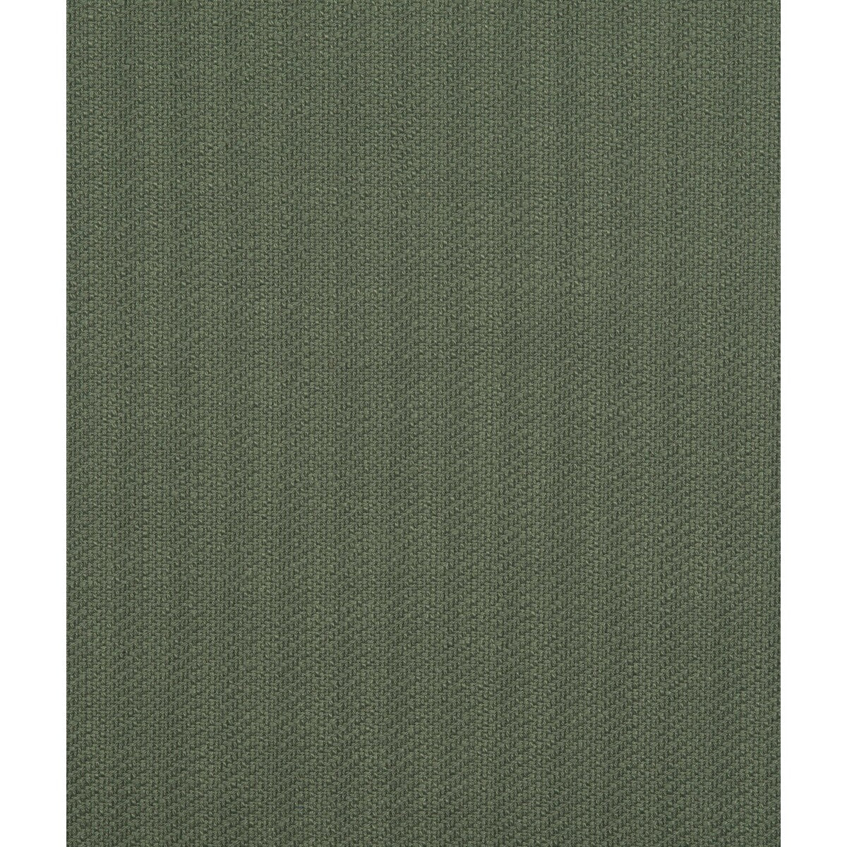Ringmaster fabric in green color - pattern number DG-10366.004.0 - by Donghia in the Circus collection