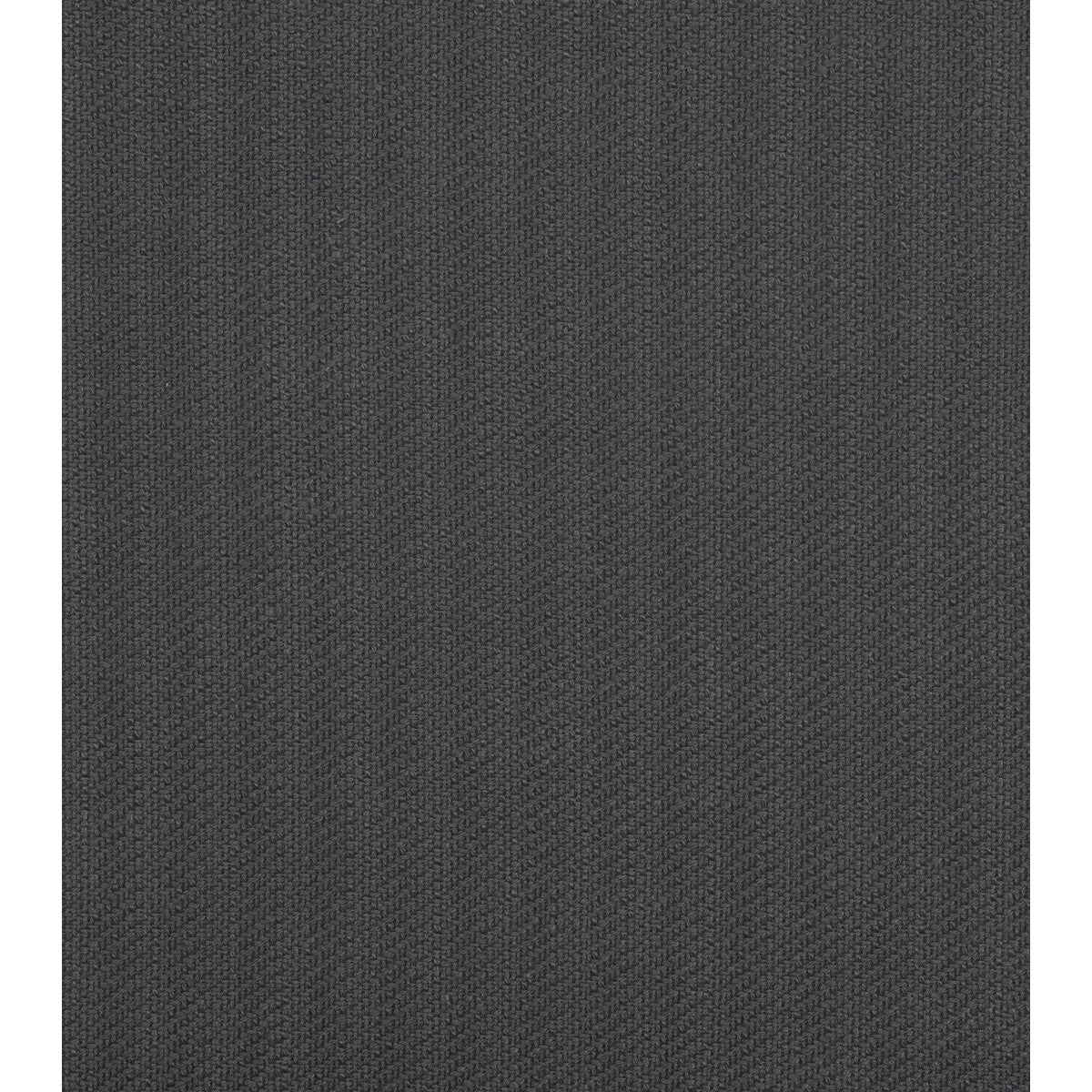 Ringmaster fabric in dark grey color - pattern number DG-10366.019.0 - by Donghia in the Circus collection