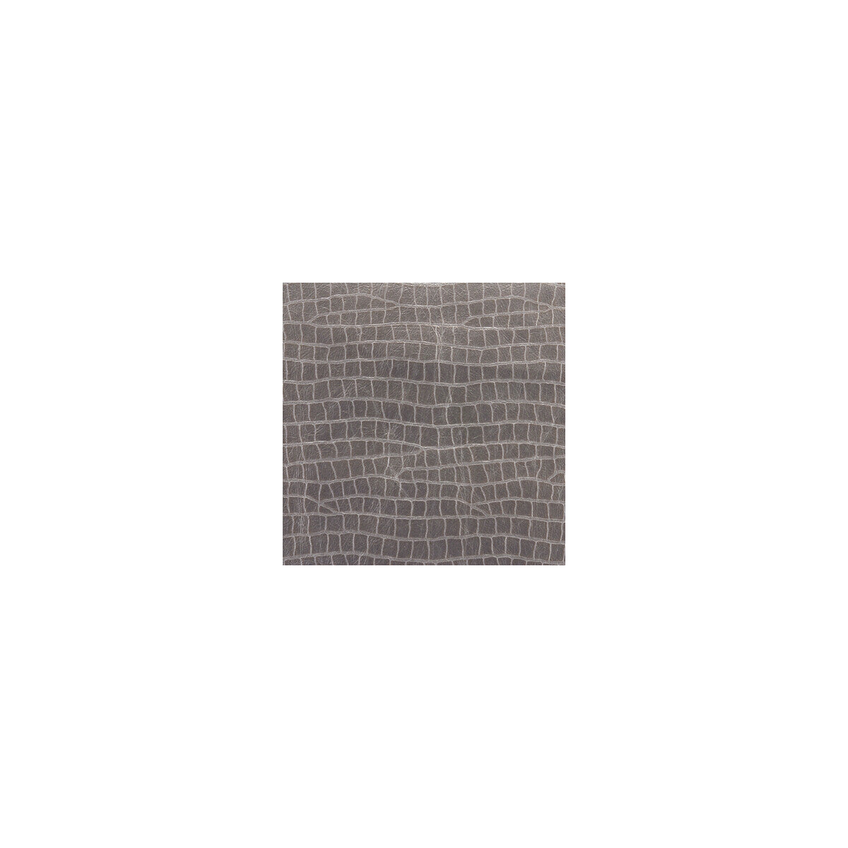 Dinotopia fabric in quartz color - pattern DINOTOPIA.11.0 - by Kravet Couture