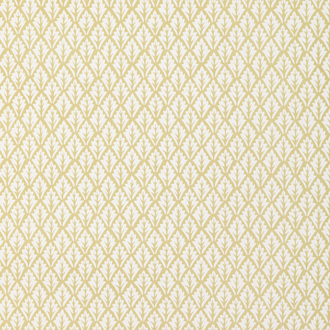 Dorso fabric in maize color - pattern DORSO.16.0 - by Kravet Basics