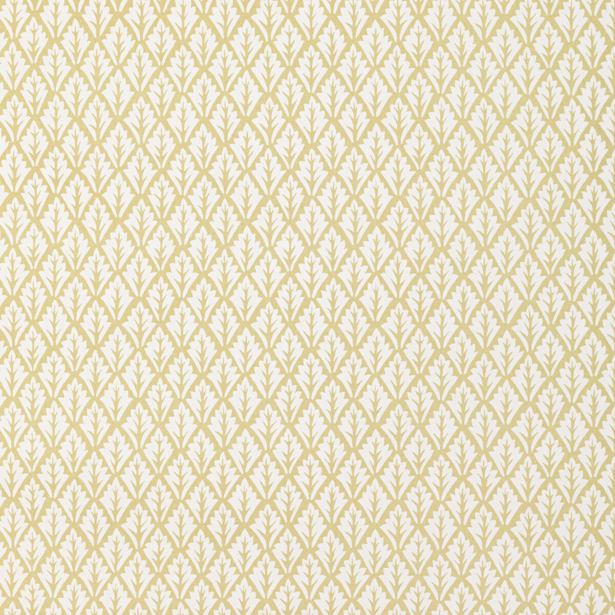 Dorso fabric in maize color - pattern DORSO.16.0 - by Kravet Basics