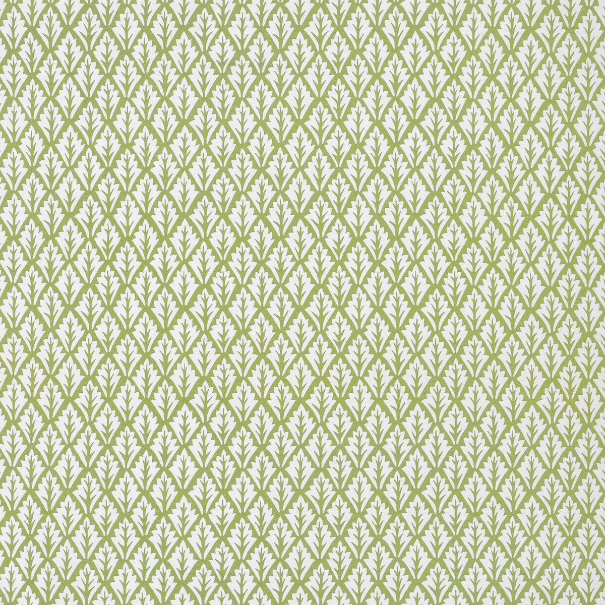 Dorso fabric in olive color - pattern DORSO.23.0 - by Kravet Basics