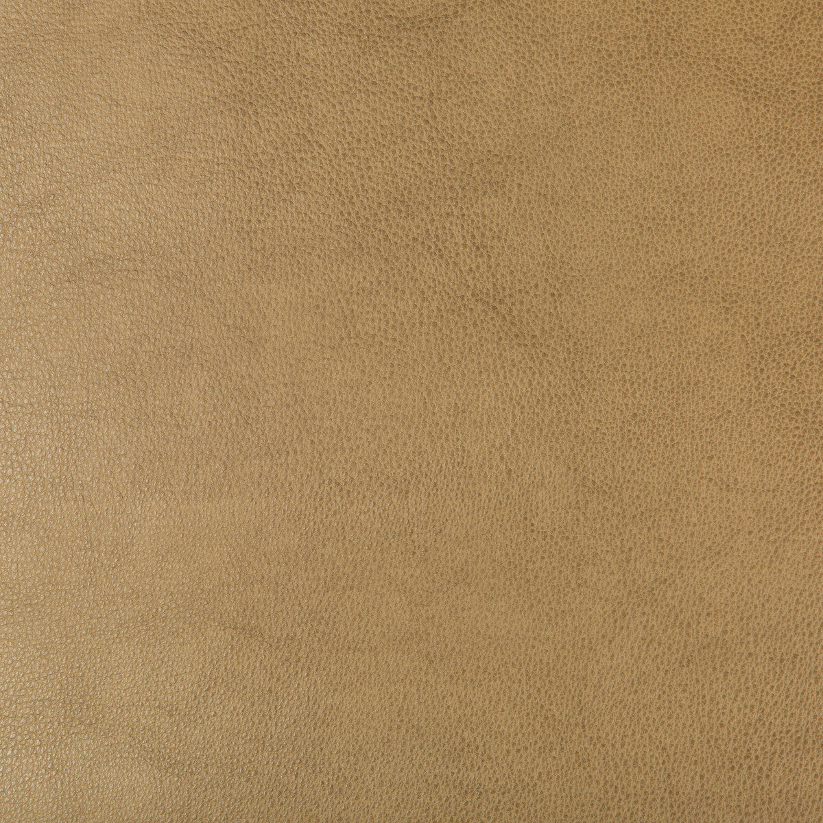 Kravet Design fabric in dust-106 color - pattern DUST.106.0 - by Kravet Design