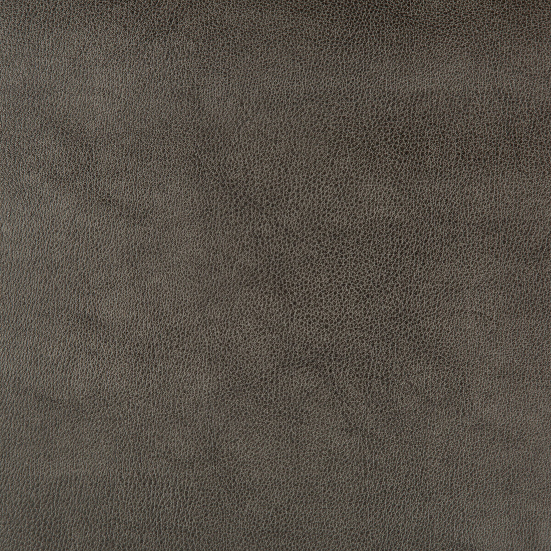 Kravet Design fabric in dust-21 color - pattern DUST.21.0 - by Kravet Design