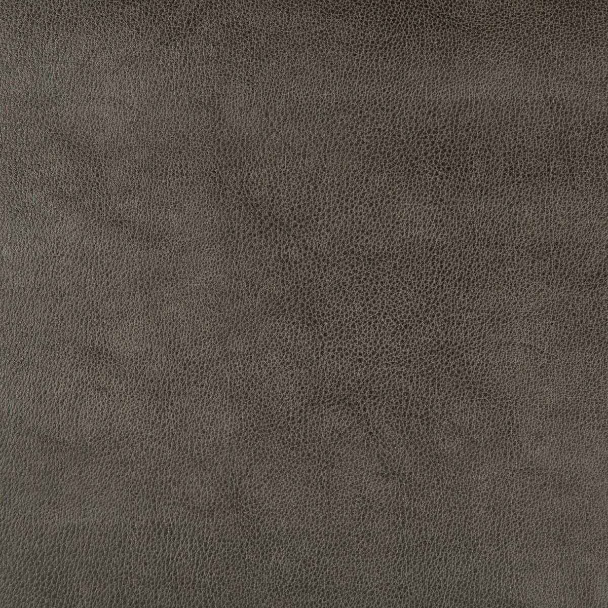 Kravet Design fabric in dust-21 color - pattern DUST.21.0 - by Kravet Design